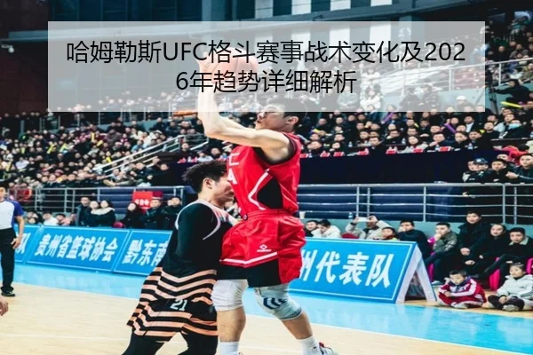 哈姆勒斯UFC格斗赛事战术变化及2026年趋势详细解析