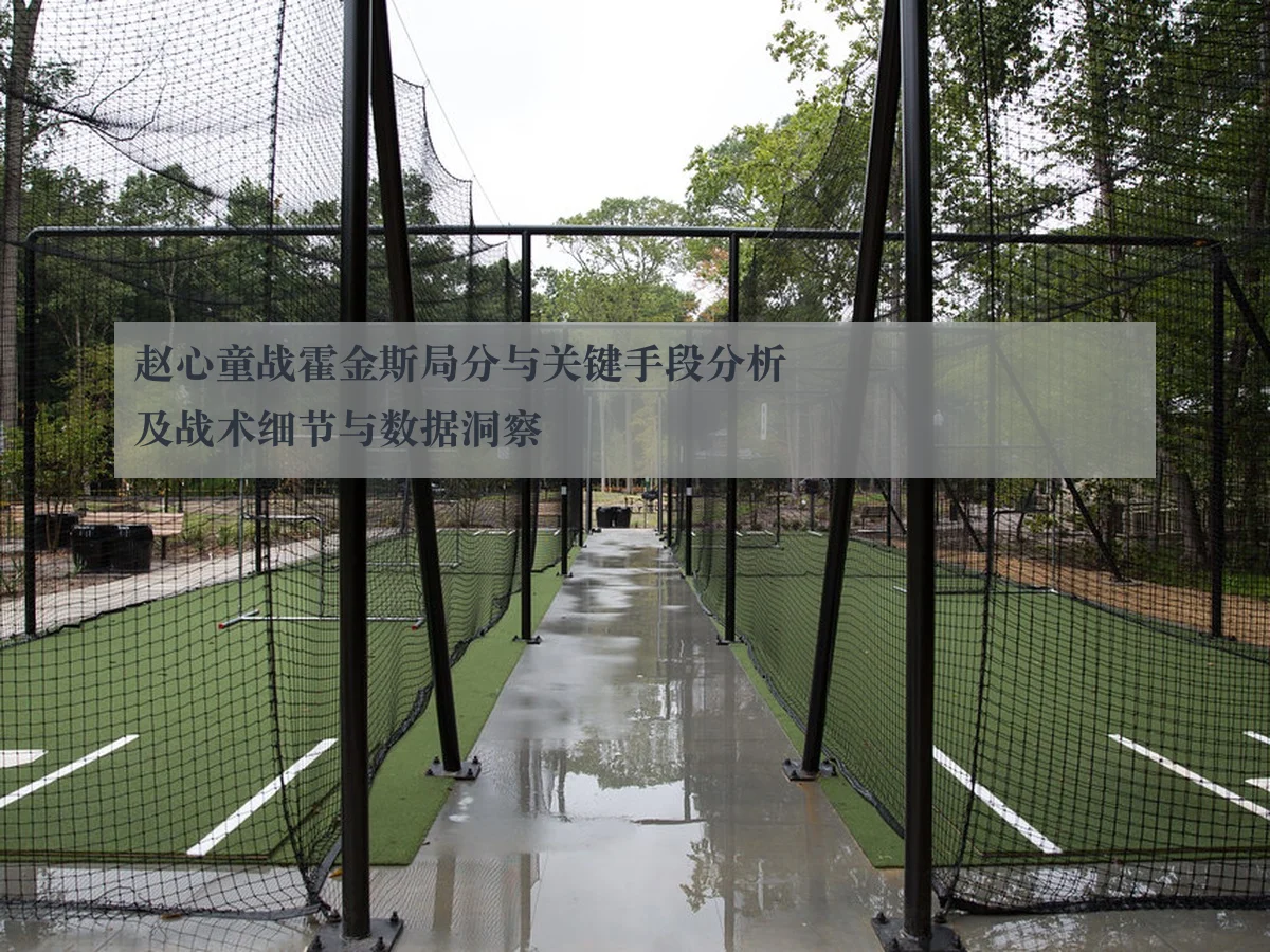 赵心童战霍金斯局分与关键手段分析及战术细节与数据洞察